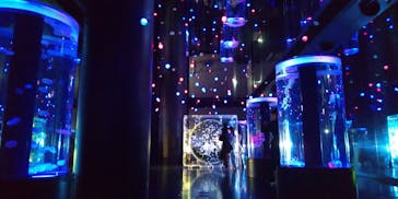 マクセル アクアパーク品川に投稿された画像（2024/5/13）