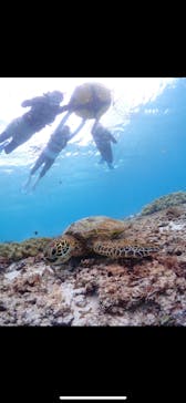 CHAMP TOUR　宮古島に投稿された画像（2024/5/13）