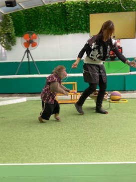 おさるランド＆アニタウン　日光さる軍団劇場に投稿された画像（2024/5/13）