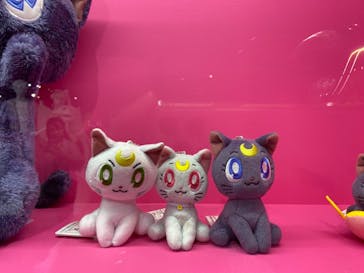 美少女戦士セーラームーン ミュージアム 大阪展事務局に投稿された画像（2024/5/13）