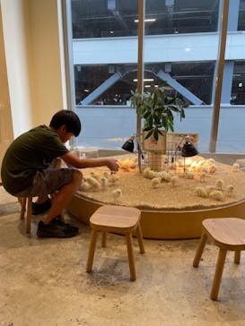 Moff animal cafe MARKIS 福岡ももち店に投稿された画像（2024/5/13）