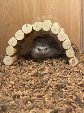 Moff animal cafe MARKIS 福岡ももち店に投稿された画像（2024/5/13）