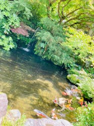 湯めぐりの宿楠水閣に投稿された画像（2024/5/13）