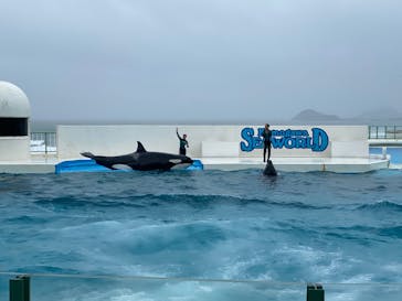 鴨川シーワールドに投稿された画像（2024/5/13）