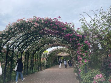 横浜イングリッシュガーデンに投稿された画像（2024/5/14）