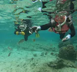 武藤潜水に投稿された画像（2024/5/14）