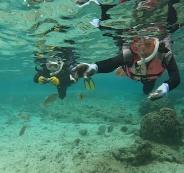 武藤潜水に投稿された画像（2024/5/14）