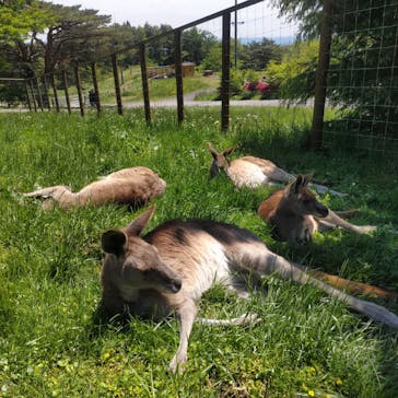 那須どうぶつ王国に投稿された画像（2024/5/14）