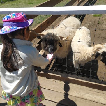 那須どうぶつ王国に投稿された画像（2024/5/14）