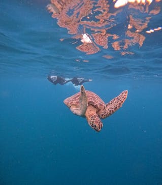  マリンショップHAPPYに投稿された画像（2024/5/14）