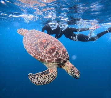  マリンショップHAPPYに投稿された画像（2024/5/14）