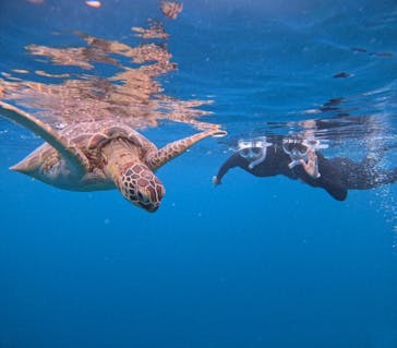  マリンショップHAPPYに投稿された画像（2024/5/14）