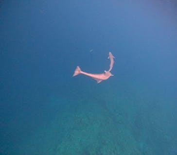  マリンショップHAPPYに投稿された画像（2024/5/14）