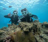 青の洞窟専門店　沖縄ダイビングショップ和に投稿された画像（2024/5/14）