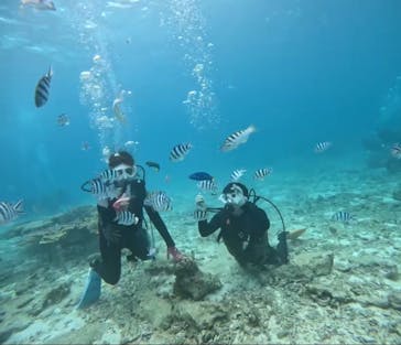 青の洞窟専門店　沖縄ダイビングショップ和に投稿された画像（2024/5/14）