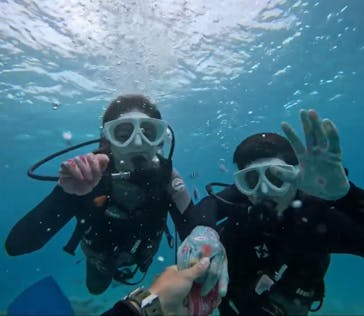 青の洞窟専門店　沖縄ダイビングショップ和に投稿された画像（2024/5/14）