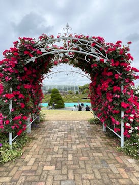 浜名湖花博2024に投稿された画像（2024/5/14）