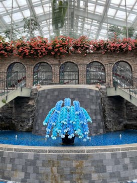 浜名湖花博2024に投稿された画像（2024/5/14）