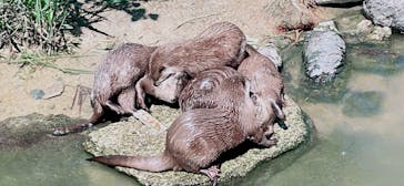 神戸どうぶつ王国に投稿された画像（2024/5/14）