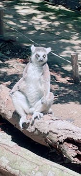 神戸どうぶつ王国に投稿された画像（2024/5/14）