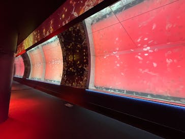 アクアワールド茨城県大洗水族館に投稿された画像（2024/5/14）