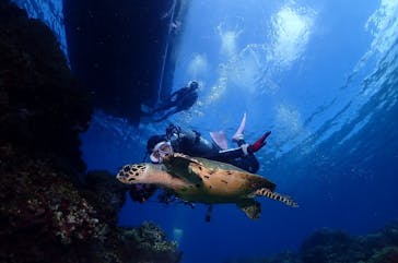 M.a.r.i.n.e Factoryに投稿された画像（2024/5/14）