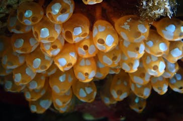 M.a.r.i.n.e Factoryに投稿された画像（2024/5/14）