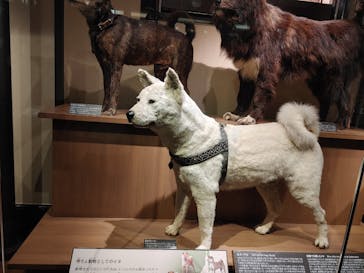 国立科学博物館に投稿された画像（2024/5/14）