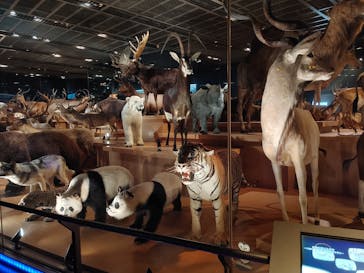 国立科学博物館に投稿された画像（2024/5/14）