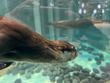 NIFREL（ニフレル）に投稿された画像（2024/5/14）