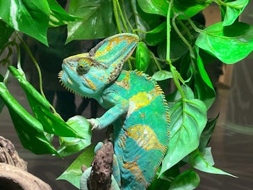 NIFREL（ニフレル）に投稿された画像（2024/5/14）