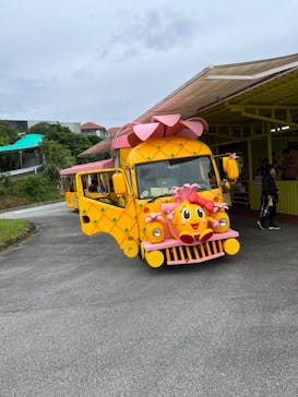 ナゴパイナップルパークに投稿された画像（2024/5/14）