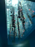 仙台うみの杜水族館に投稿された画像（2024/5/14）