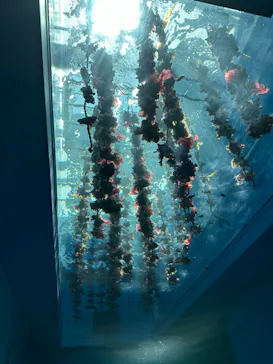 仙台うみの杜水族館に投稿された画像（2024/5/14）