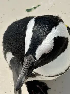 仙台うみの杜水族館に投稿された画像（2024/5/14）