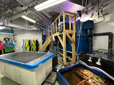仙台うみの杜水族館に投稿された画像（2024/5/14）