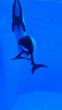 仙台うみの杜水族館に投稿された画像（2024/5/14）