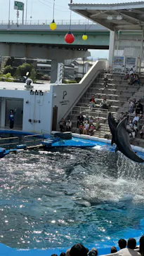 仙台うみの杜水族館に投稿された画像（2024/5/14）
