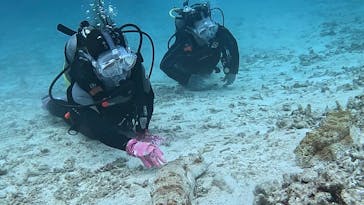 青の洞窟専門店　沖縄ダイビングショップ和に投稿された画像（2024/5/14）