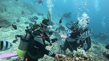 青の洞窟専門店　沖縄ダイビングショップ和に投稿された画像（2024/5/14）