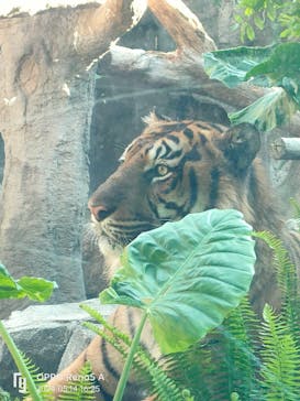 神戸どうぶつ王国に投稿された画像（2024/5/14）