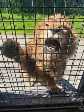 那須サファリパークに投稿された画像（2024/5/14）