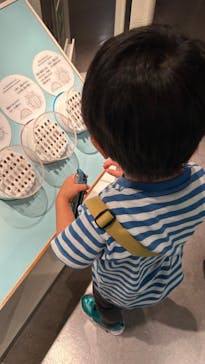 国立科学博物館に投稿された画像（2024/5/14）