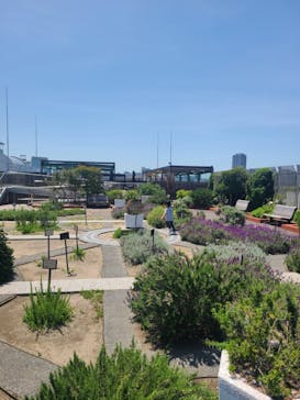 国立科学博物館に投稿された画像（2024/5/14）