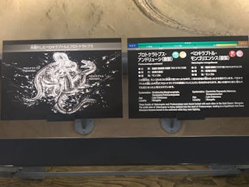 福井県立恐竜博物館に投稿された画像（2024/5/14）