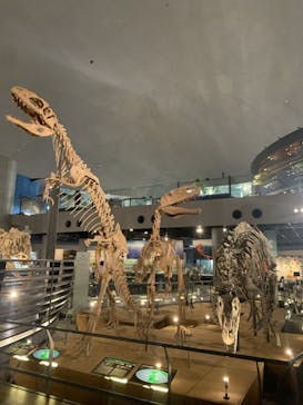 福井県立恐竜博物館に投稿された画像（2024/5/14）