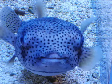 すみだ水族館に投稿された画像（2024/5/15）