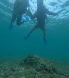 宮古島 ADVENTURE PiPi（ミヤコジマ アドベンチャー ピピ）に投稿された画像（2024/5/15）