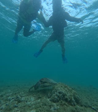 宮古島 ADVENTURE PiPi（ミヤコジマ アドベンチャー ピピ）に投稿された画像（2024/5/15）