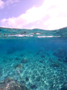 初心者専門宮古島シュノーケリングツアーに投稿された画像（2024/5/15）